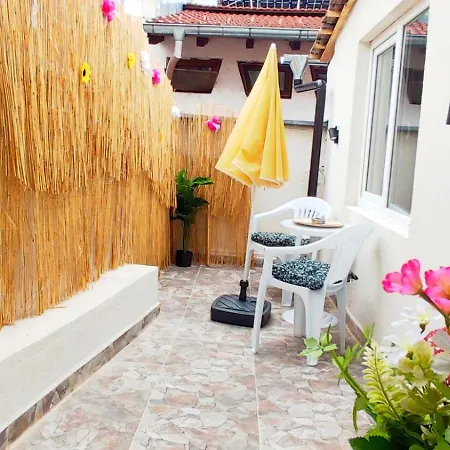 Halite Veliko Tărnovo